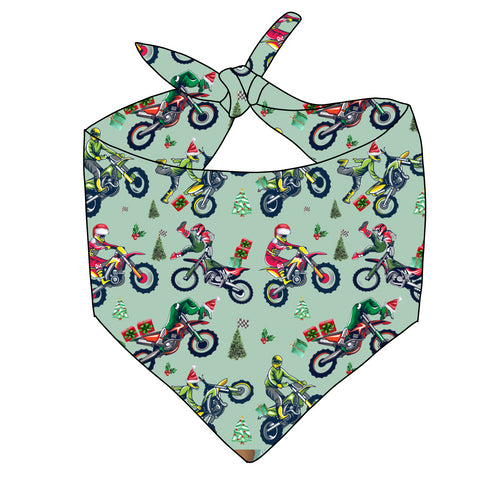 Racing through the snow Pet Bandana: Ships mid November